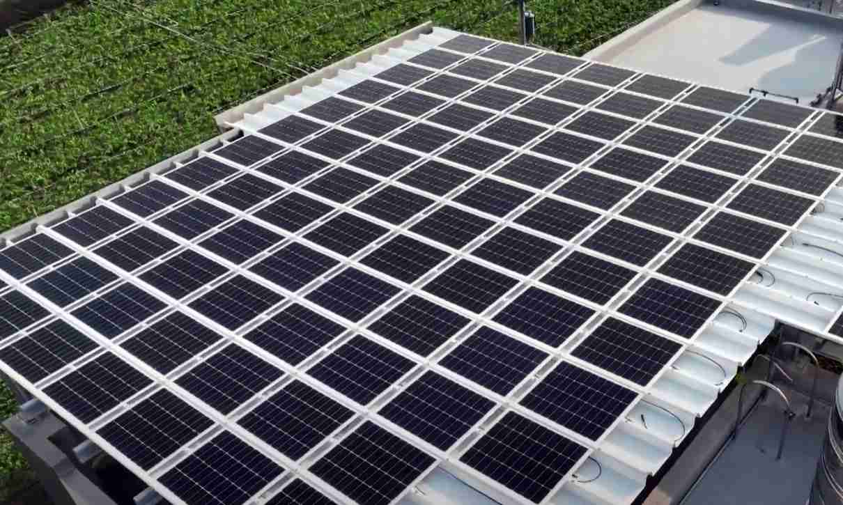 人生就是博SunSteel光电浪板升级双玻结构，，以提升机械负载强度及气候耐候度，，，，可广泛运用于多元场域